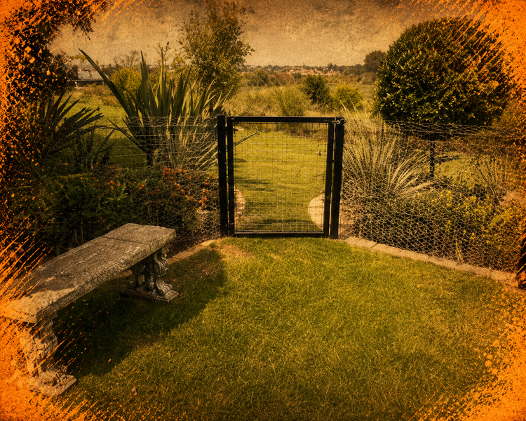 Pretty Up The Garden! (Home & Garden)