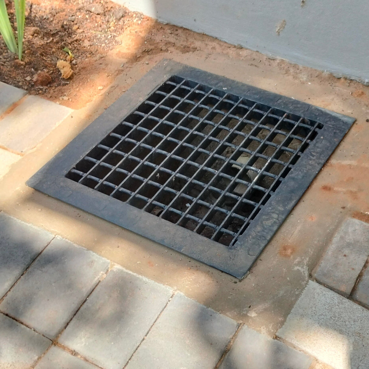 Metal drain cover on a paved pathway with plants around